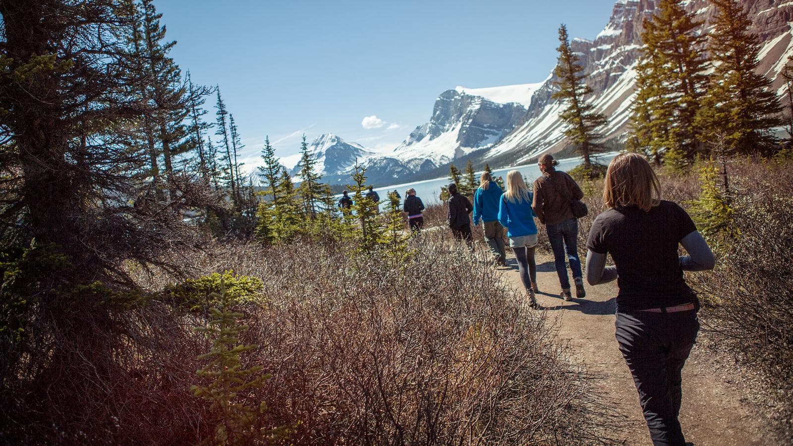Banner image of Journeys: Discover the Canadian Rockies - Westbound